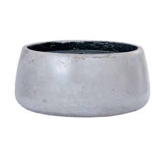 Bonsai Water Feature