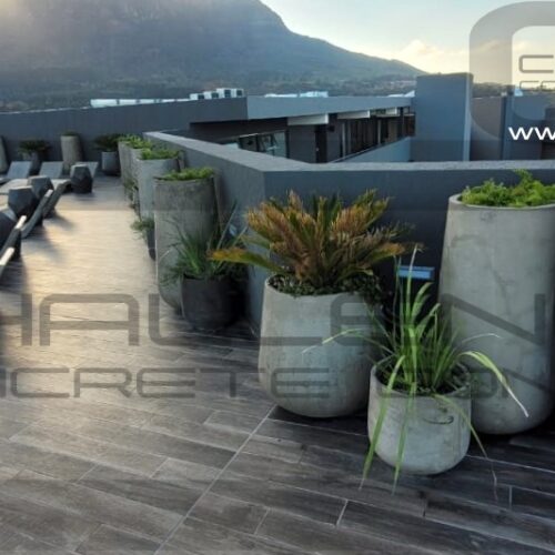 IMG-20230508-WA0039 WM