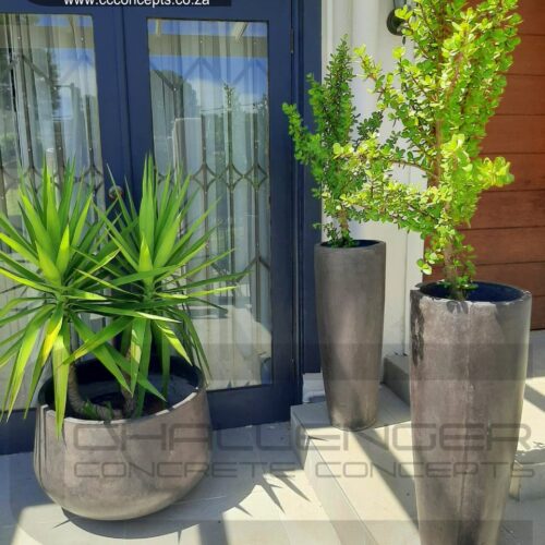 IMG-20240124-WA0008 WM