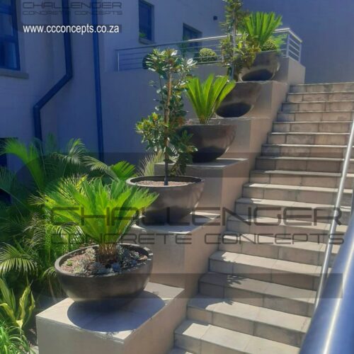 IMG-20240124-WA0035 WM